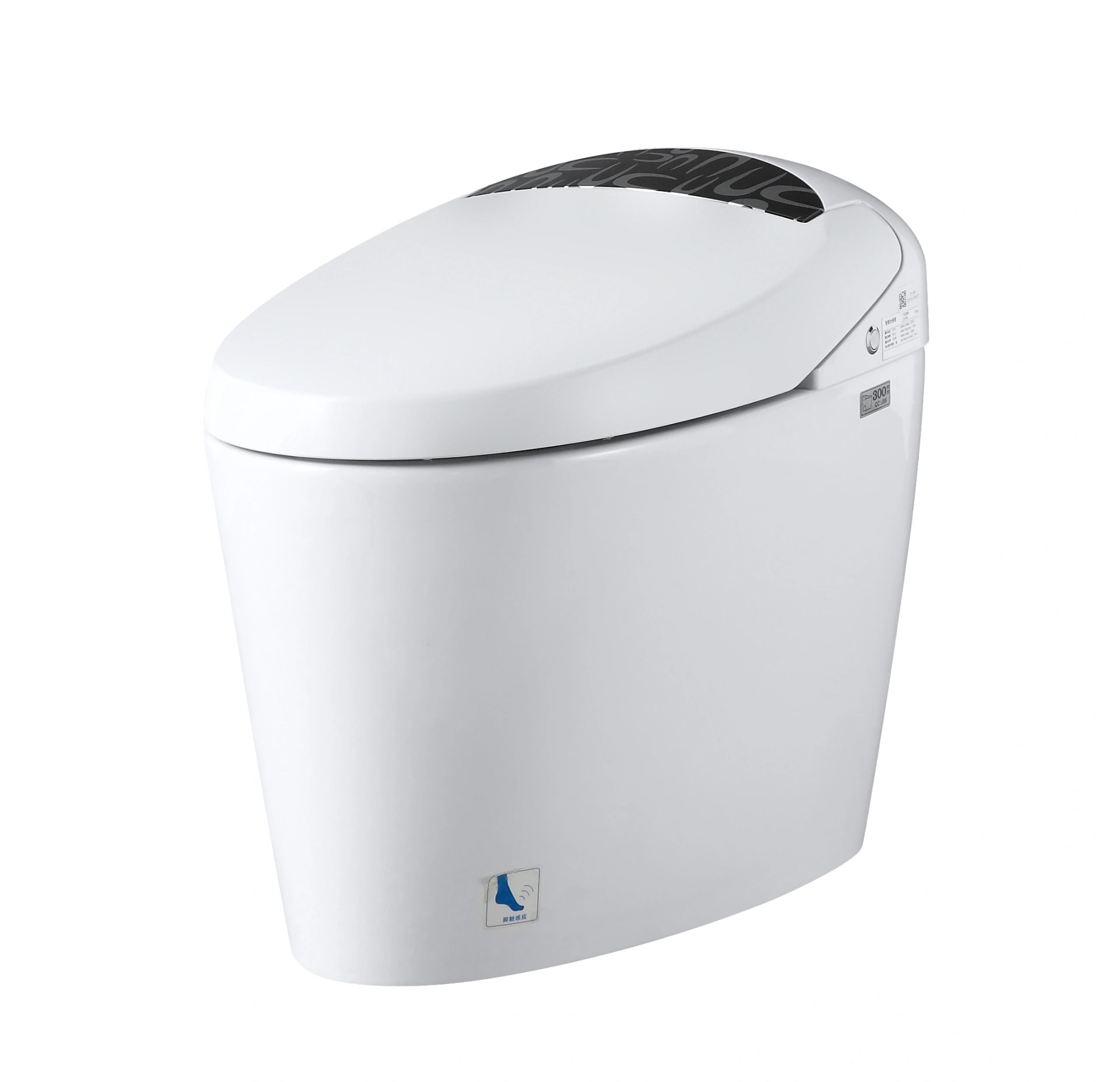 Smart Tankless Toilet