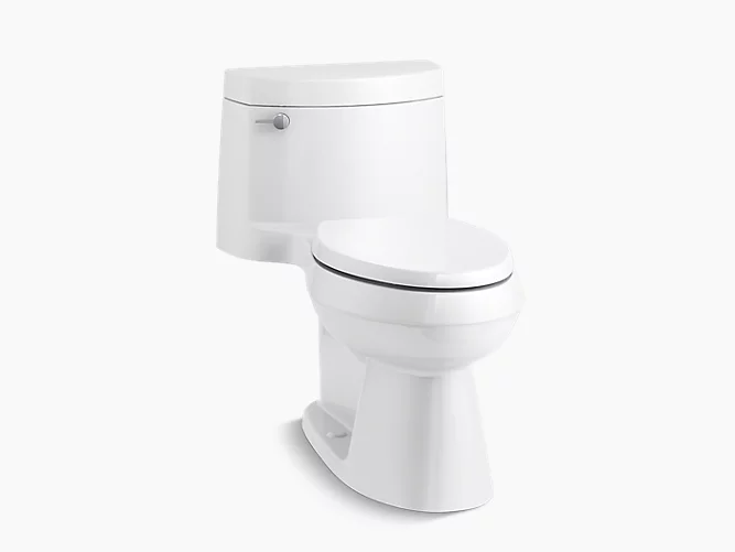 Category_Template One-piece elongated toilet