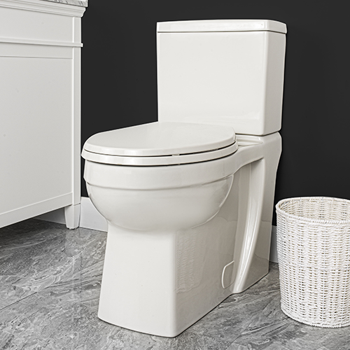 Contrac Cayla Concealed TwoPiece Toilet 3 Canada 1 Taps Depot Ltd.