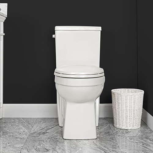 Contrac Cayla Concealed TwoPiece Toilet 4 Canada Taps Depot Ltd.