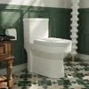 Yodar Dual Flush Elongated One Piece Toilet Seat Included 1 Taps Depot Ltd.