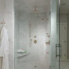 CHARLOTTE_MEDIUM_FLOW_CUSTOM_SHOWER_T60285-PN_T60085-PN_81385-PN_RP48985PN_T60885-PN_85885-PN_84110-PN_693585-PN_WEB