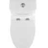 pn-zen-toilet-chrome-crop-2