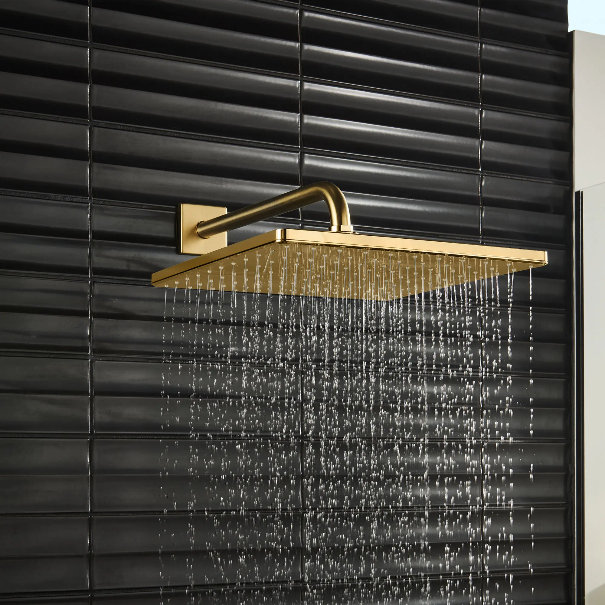 165876_Rainshower_EnvironmentCloseUp_26570GN0_0002_Aug2023_0_CDNwebp_662403d7-2441-4d64-b1b6-1c8d151b7755_2000x