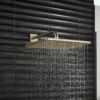 247509_Rainshower_EnvironmentCloseUp_26570EN0_0002_Aug2023_CDNwebp_2000x