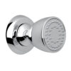 Polished Chrome