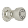 Polished Nickel