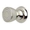 Polished Nickel