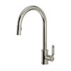 Polished Nickel