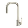 Polished Nickel