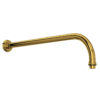 Unlacquered Brass