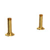 Unlacquered Brass