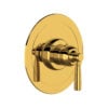 Unlacquered Brass