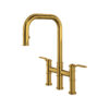 Unlacquered Brass