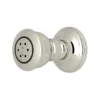 Polished Nickel
