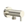 Polished Nickel