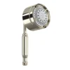 Polished Nickel