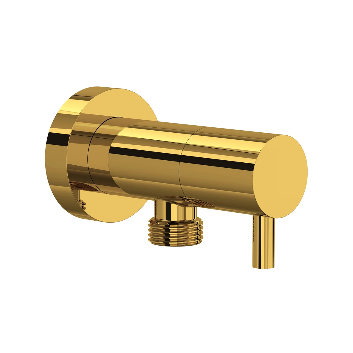 Unlacquered Brass